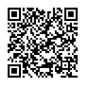 因为到了夏天我就能去数窗外的那棵桃树会长多少叶子二维码生成