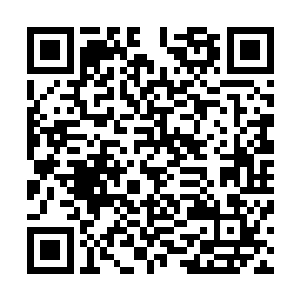 因为前来历练的人在进来之前都会告知不要刺伤污恶兽一事二维码生成