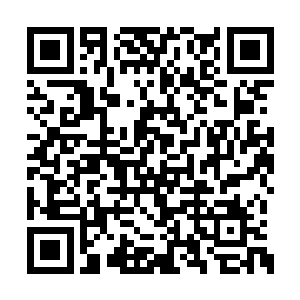 因为华夏军队对毛瑟手枪有开创性的使用方式嘛二维码生成