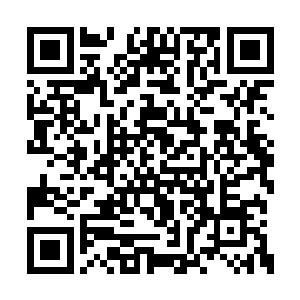 因为卡卡成为新一任兽皇而产生了一系列的动荡二维码生成