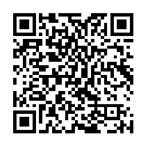 因为即便自己如此费尽心机和周折从这里只拿一个水果出去二维码生成