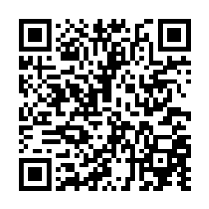 因为只有大儒或大妖王才能如此轻松毁灭千丈高山二维码生成