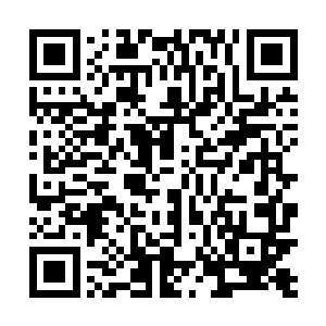 因为只有大型灵石矿脉之中才有可能有上品灵石的存在二维码生成