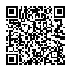 因为只有荒人才会将猎物身上的每一寸肉都剃走二维码生成