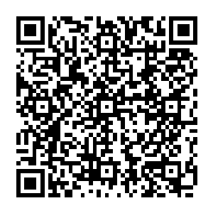 因为只有这样才能解释她那无懈可击的表现力和让所有人都跳不出毛病的乖顺懂事二维码生成