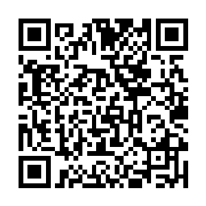 因为只有那里才能够让她感觉到真正的温暖和安全感二维码生成