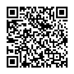 因为只有马里奥才会用余生的所有时间来找机会杀死我们的家人二维码生成