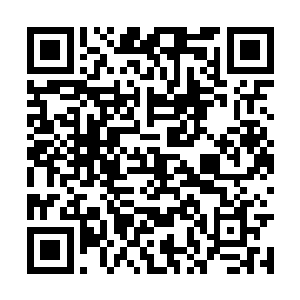 因为只要神识靠近便是会被两人狂暴的能量所绞杀二维码生成