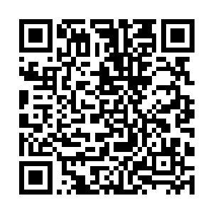 因为叶君主实在是看不惯二货这得意洋洋的臭屁样子二维码生成