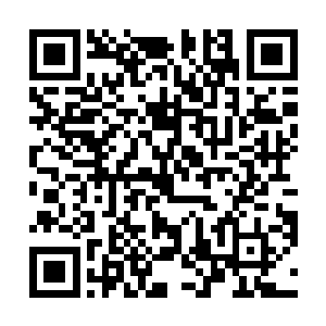 因为叶璃表现的明显是对她想要说的事情没有丝毫兴趣二维码生成