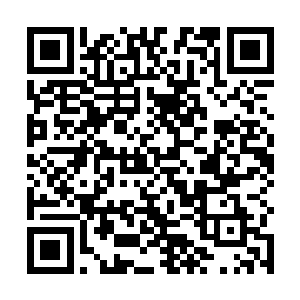 因为叶莲娜要是在脑子里想过衡量过之后再做动作的话二维码生成