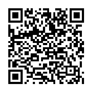 因为各大家族优秀青年武修代表都汇聚到了这里二维码生成