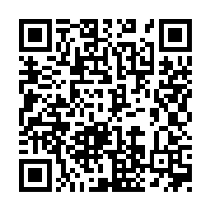 因为吞噬能量的单一而导致血海被完善得非常慢二维码生成