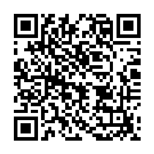 因为嘴巴被破布紧紧塞着只能鼻子里发出难耐的哼哼声二维码生成