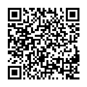 因为因为这两头魔法元素组成的巨兽的战斗而变得焦黑一片了二维码生成
