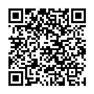 因为团里的高层已经早就把天罚来袭的消息告诉了他们二维码生成