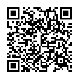 因为国内没引进……凯文说很难说今年奖会给谁二维码生成