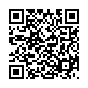 因为圣域强者愿意主动留下圣核的很少二维码生成