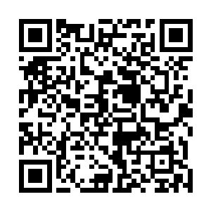 因为在一个个破碎大陆通往上元大陆的途中有着禁地险境二维码生成