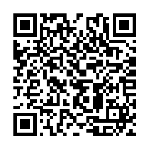 因为在一些人的眼中龙傲天的实力并不是最可怕的二维码生成