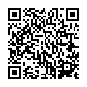 因为在他的面前出现了密密麻麻的的一百多万的罗浮仙军二维码生成