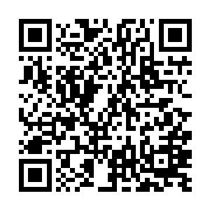 因为在狭小空间内发射火箭弹会先把自己的战友坑死二维码生成