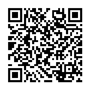 因为在至尊后裔和一睡千古后裔合力下败并不奇怪二维码生成