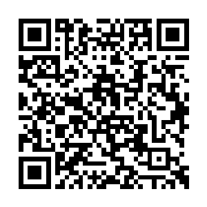 因为在越战之中他们曾经吃够了越南蛙人的苦头二维码生成