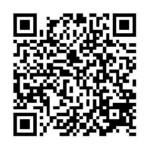 因为在这个时候大家都想起了自己吸进了一丝万毒丹的毒素二维码生成