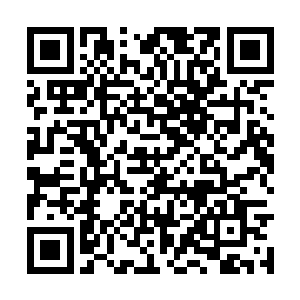 因为在这样的场合提出打赌的事情就是一把双刃剑二维码生成