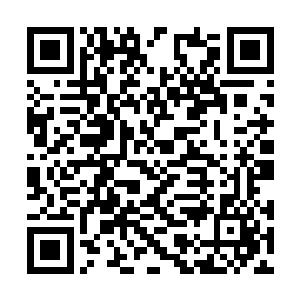 因为地上和四周有不少不属于青阳神殿弟子的尸体二维码生成