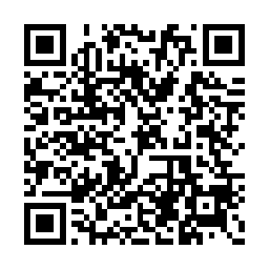 因为坐在车里的人已经看到了费若萱转过来的脸二维码生成