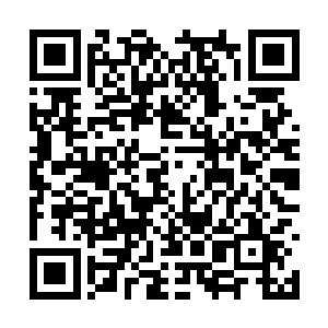 因为坦尼克王国刚刚向联合国人权委员会递交提案二维码生成