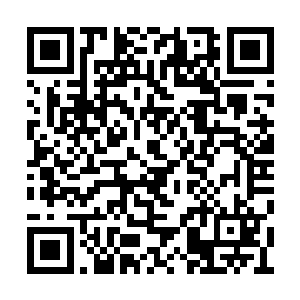 因为夏天刚才大战海兽的时候那就已经是传奇了二维码生成