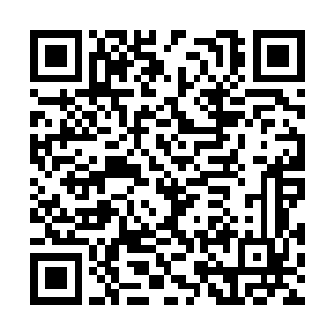 因为夏天的法则攻击根本就不可能伤害到天妖万霖二维码生成