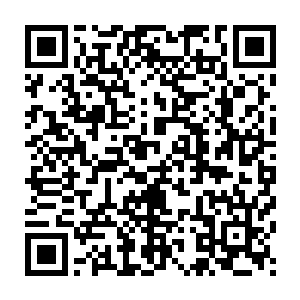 因为夏天的游泳池是她展示美好身材并收获最多眼珠子的美好地方二维码生成