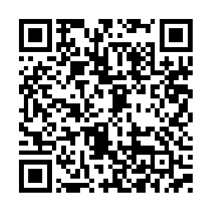 因为夏天真的做了很多让他都感觉到惊讶的事情二维码生成