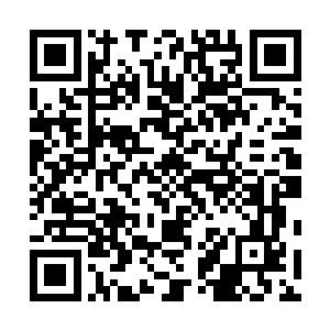 因为夜染一句话而兴奋起来的柳非笑到现在还没有回过神二维码生成