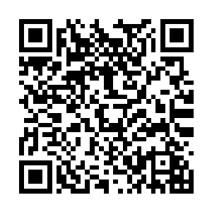 因为大势力有足够好的环境和足够多的资源来培养二维码生成