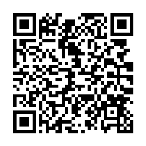 因为大唐双龙世界的历史人物完全和现实世界车不上边二维码生成