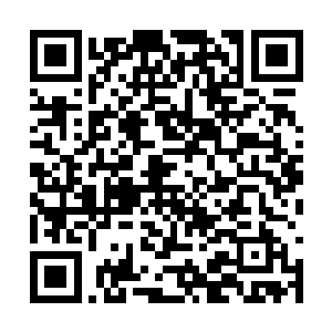 因为大型灯车要在明天正月十五上午参加社火表演二维码生成