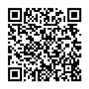 因为大家看宇天这么爽快就答应了谢小娜的要求二维码生成