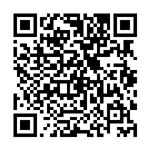 因为大部分的应劫期都给传送回了之前葫芦口的位置二维码生成