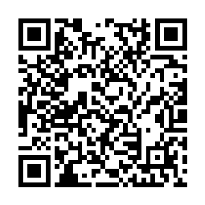 因为大量的精力都放在布桑加岛和吉隆坡的建设上二维码生成