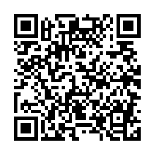 因为天道找不到可以让林诗语安然接受这里的说法二维码生成