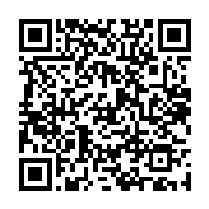 因为太虚宗常年全部收购了呼啸山脉内所有的材料二维码生成