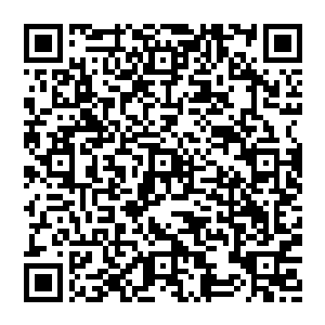 因为女王和王爵都不在　所以桑切斯自然而然的就成为了现场的负责人　而在桑切斯之后　就是两个大公了二维码生成