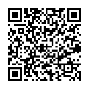 因为她不知道应当如何去和安家的那位小姐打招呼二维码生成