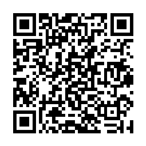 因为她从对方看自己残废的手脚的眼神里看出了一丝二维码生成