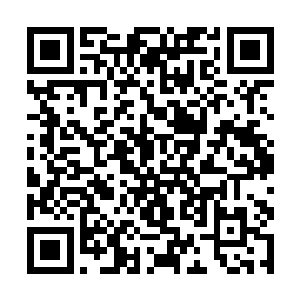 因为她们之中有人亲眼看到自己的好姐妹被礼殿抓走二维码生成